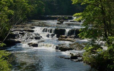 Aysgarth Falls