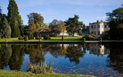 Thorp Perrow Arboretum – Falcons and Mammals